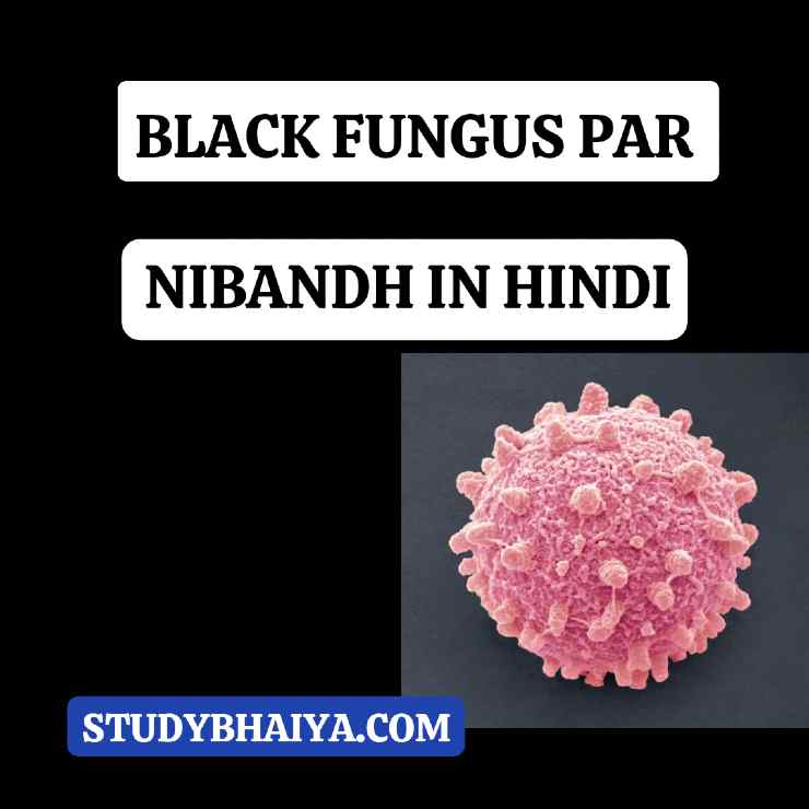 Black fungus par nibandh in hindi