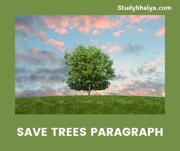 Save Trees Paragraph in Hindi