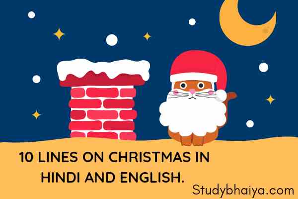 10 Lines on Christmas in hindi and english
